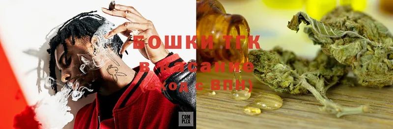 Каннабис SATIVA & INDICA  Зубцов 